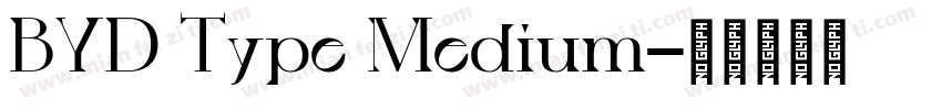 BYD Type Medium字体转换